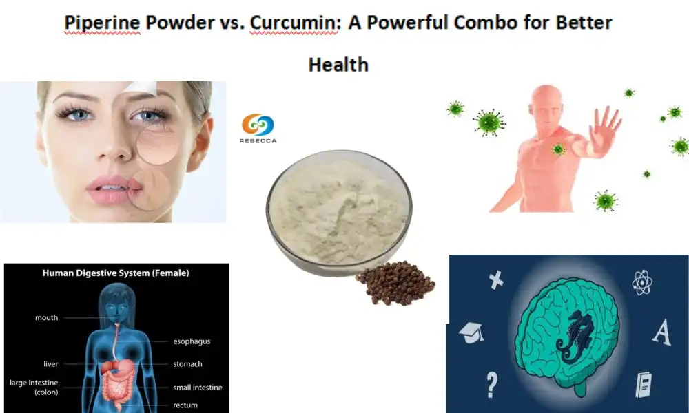Piperine Powder vs. Curcumin: A Powerful Combo for Better Health